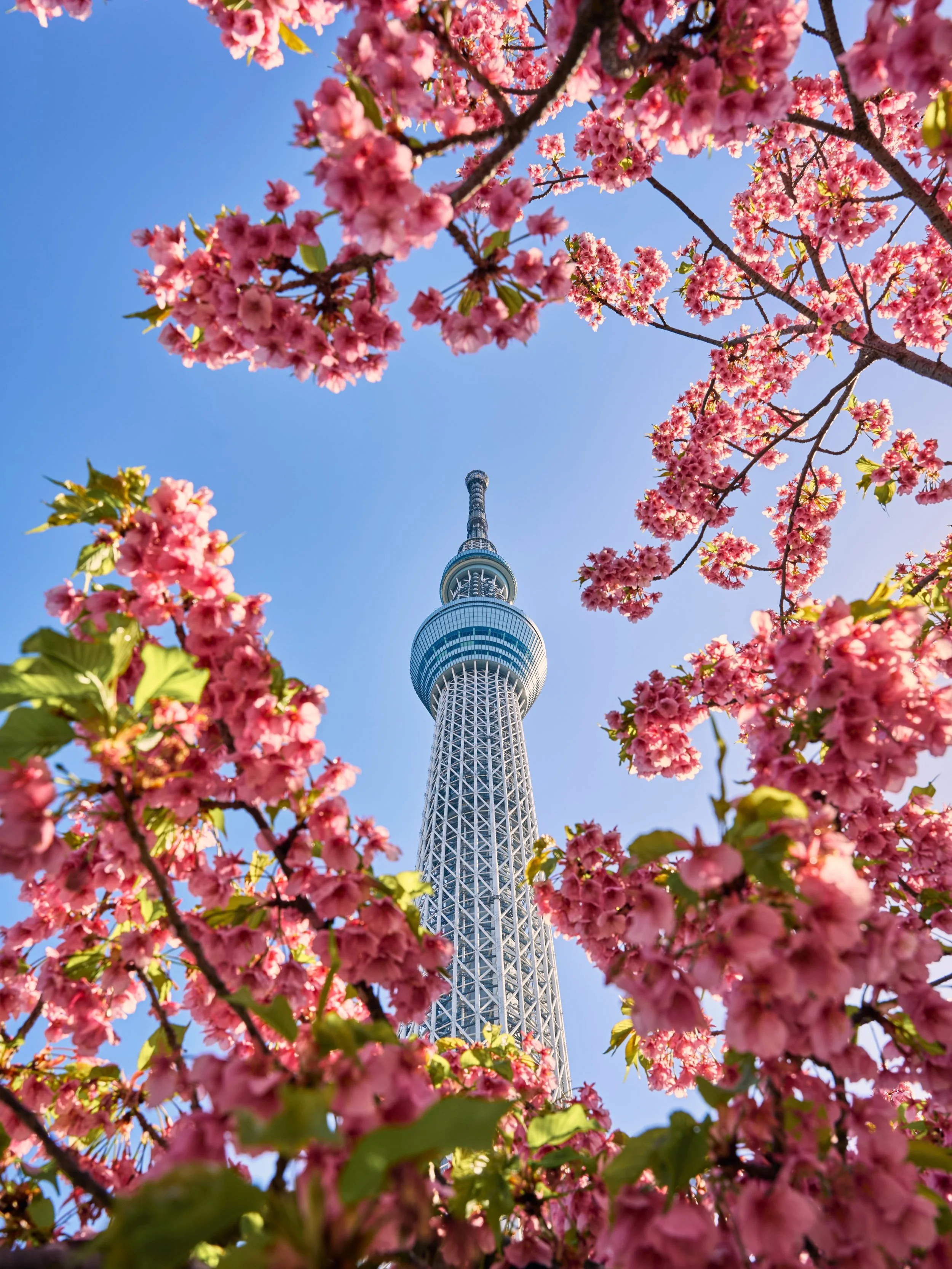 When I travel, I love researching places, finding little spots I want to visit, and planning the details. 
But sometimes, I also want to go with the flow and see where the day takes me. 
I like knowing the things I should know before I go! 🇯🇵

I kn