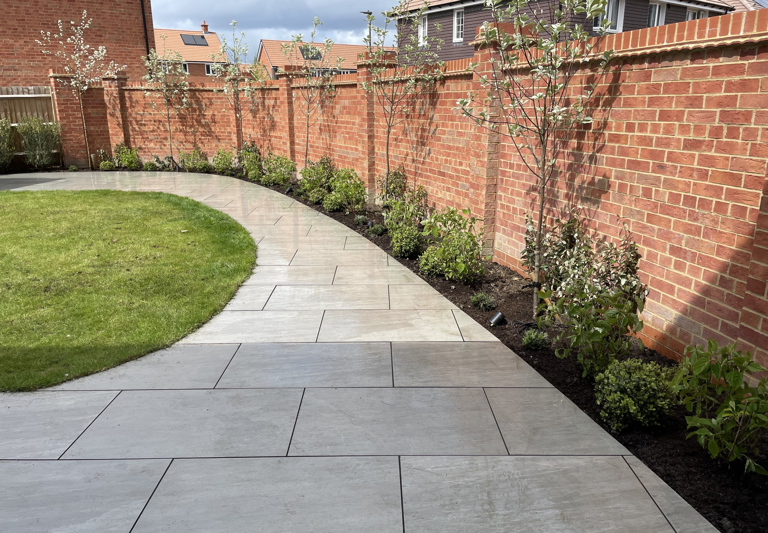 Ash green complete planting.jpeg