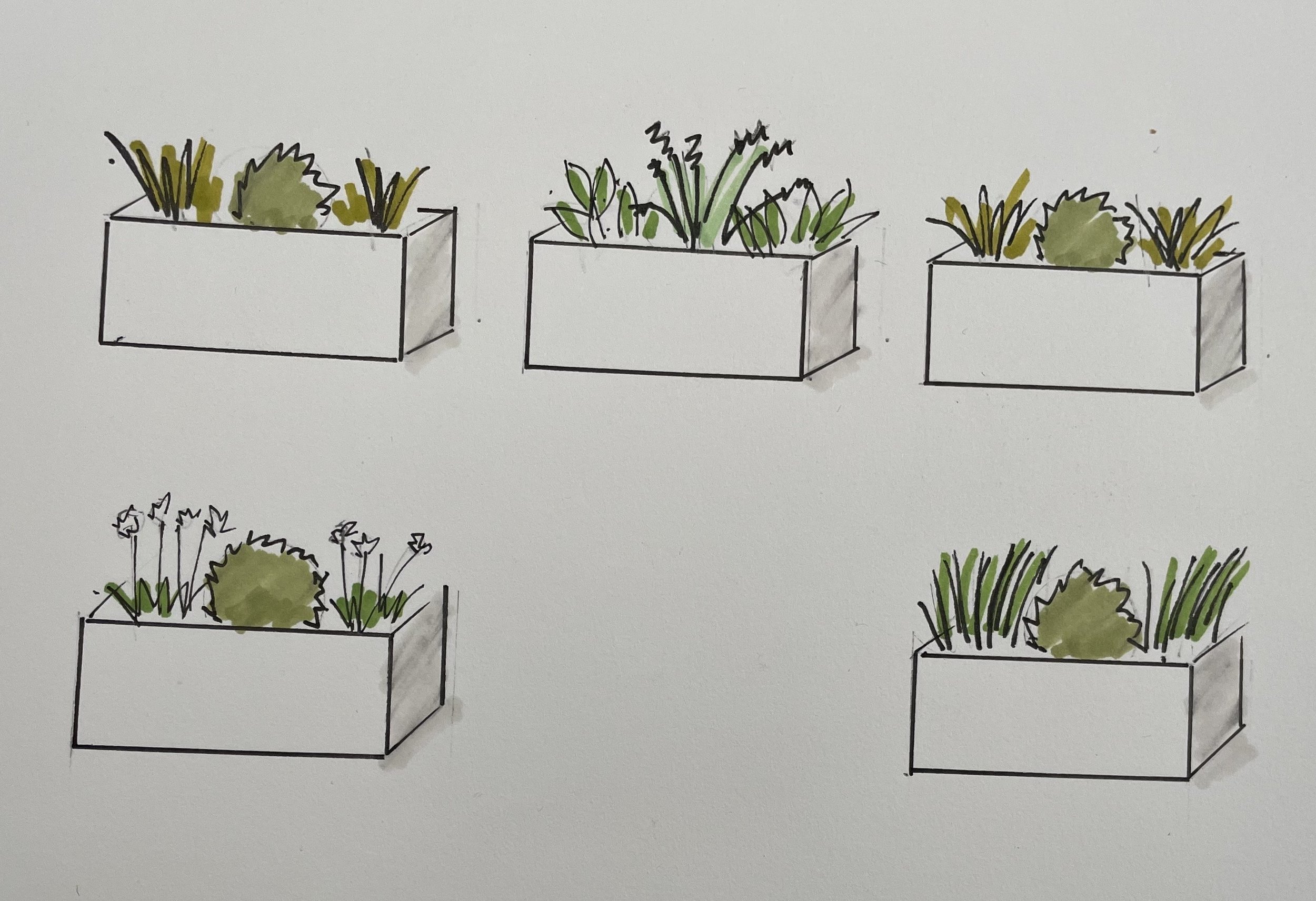 container sketch.jpeg