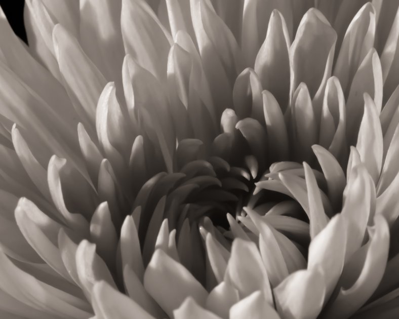 Mum Abstract