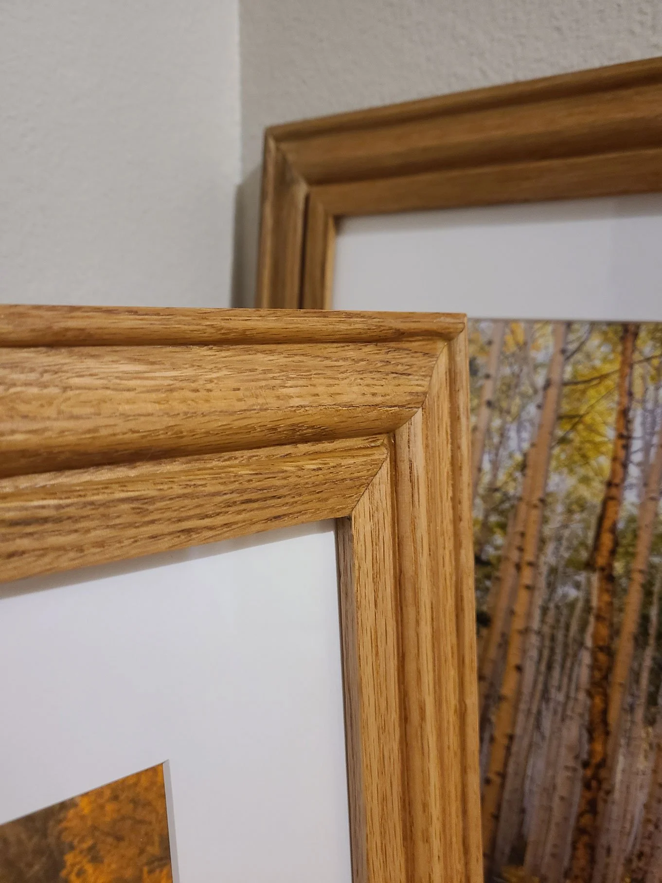 Close-up of two picture frames with wooden borders, one positioned slightly behind the other, with a background of autumn trees.