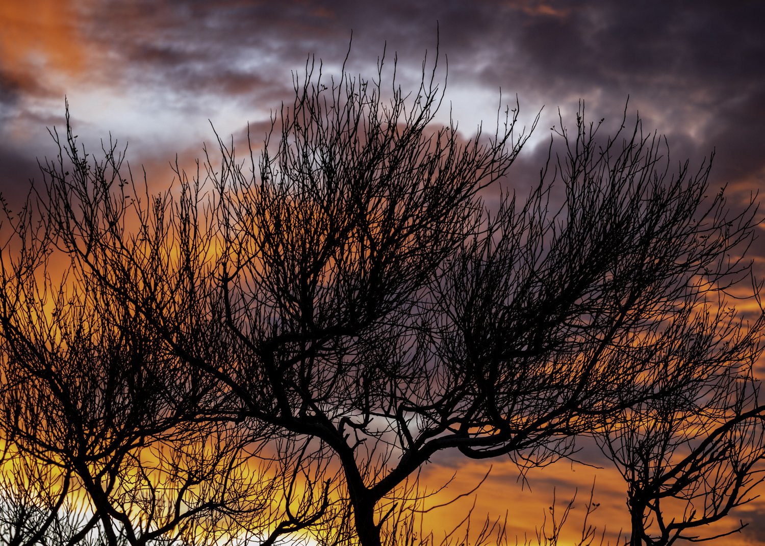 Stark Sunset.jpg