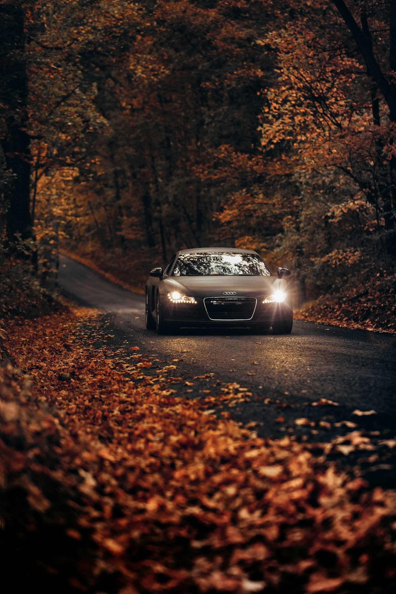 How Often Should You Detail Your Car? (A Seasonal Guide)