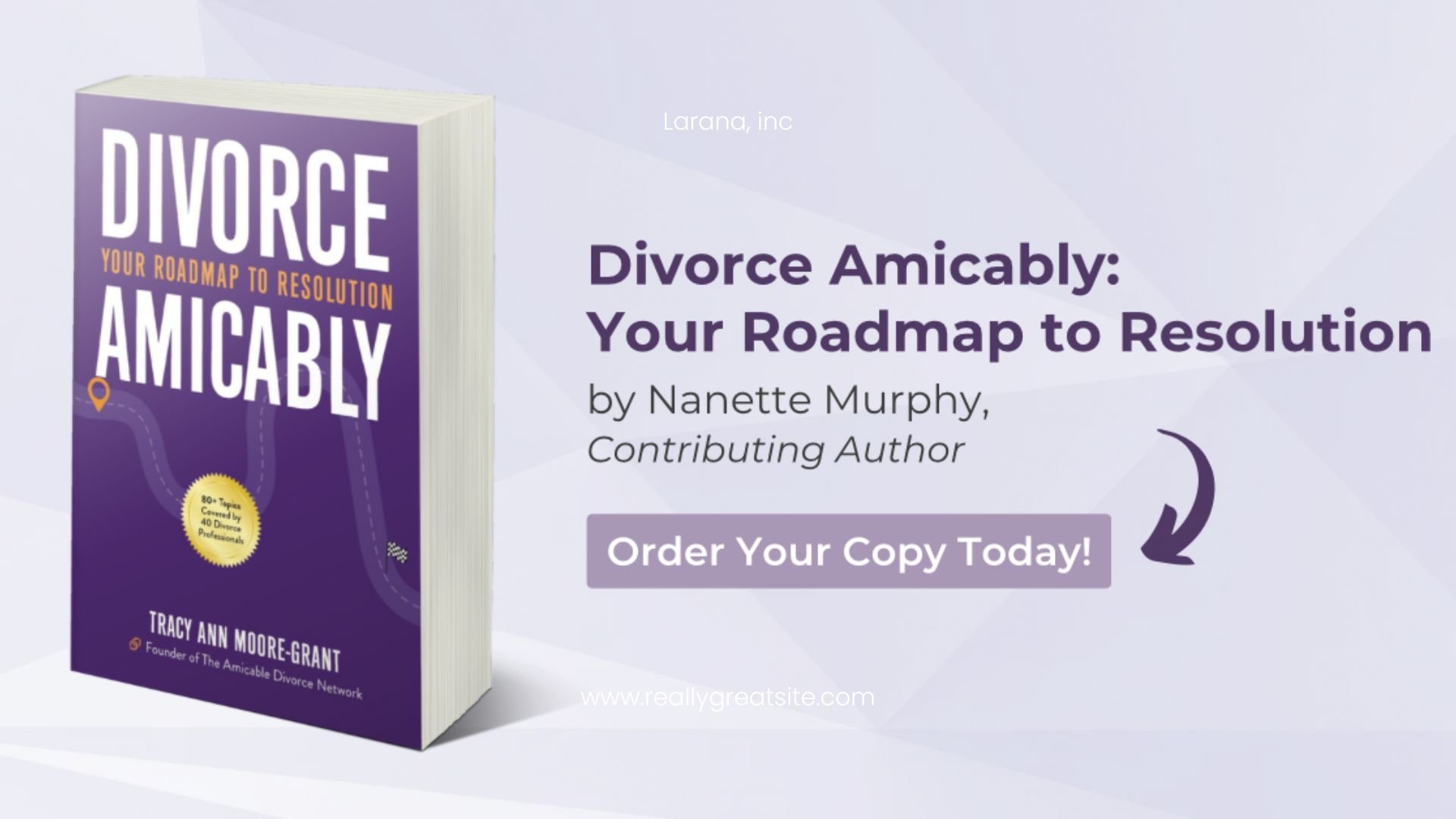Divorce Amicably Your roadmap to resolution - in paperback