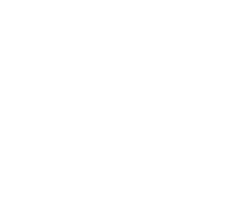 Centric Brands