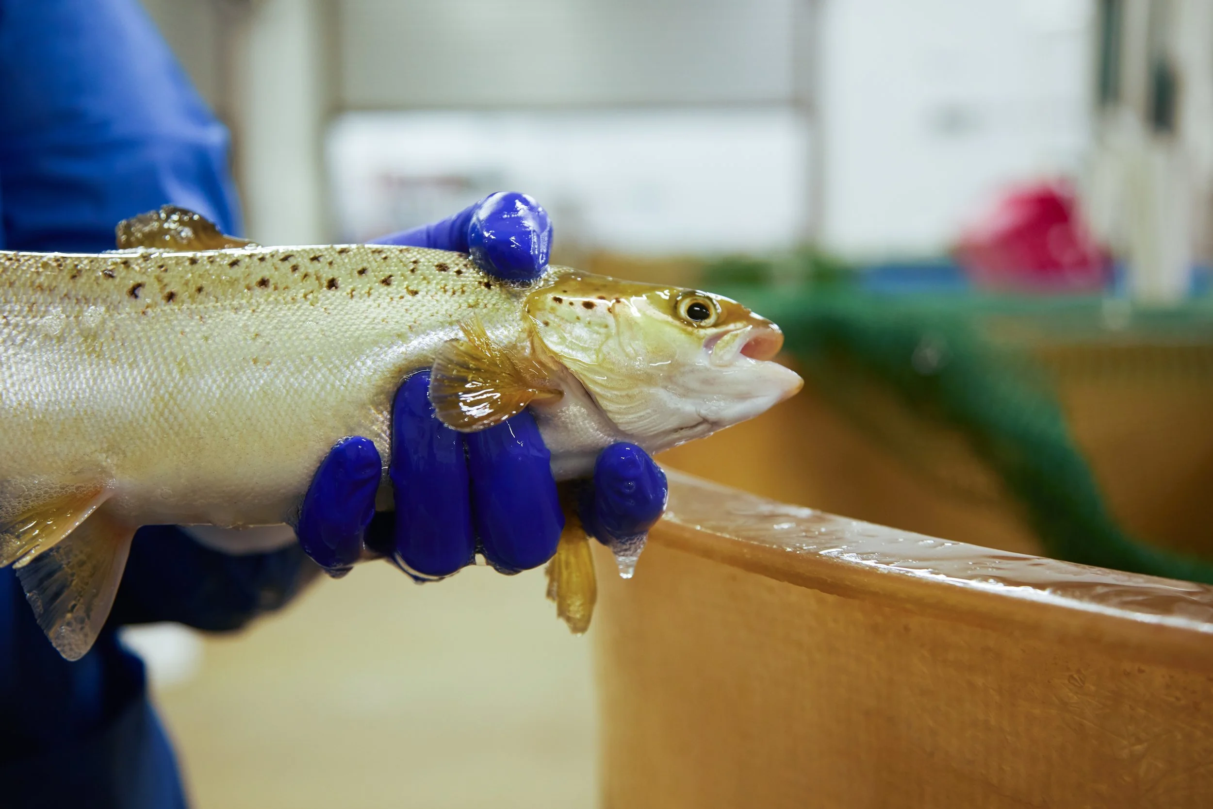 From Lab to Ocean: Reducing Risk Before It Reaches the Field