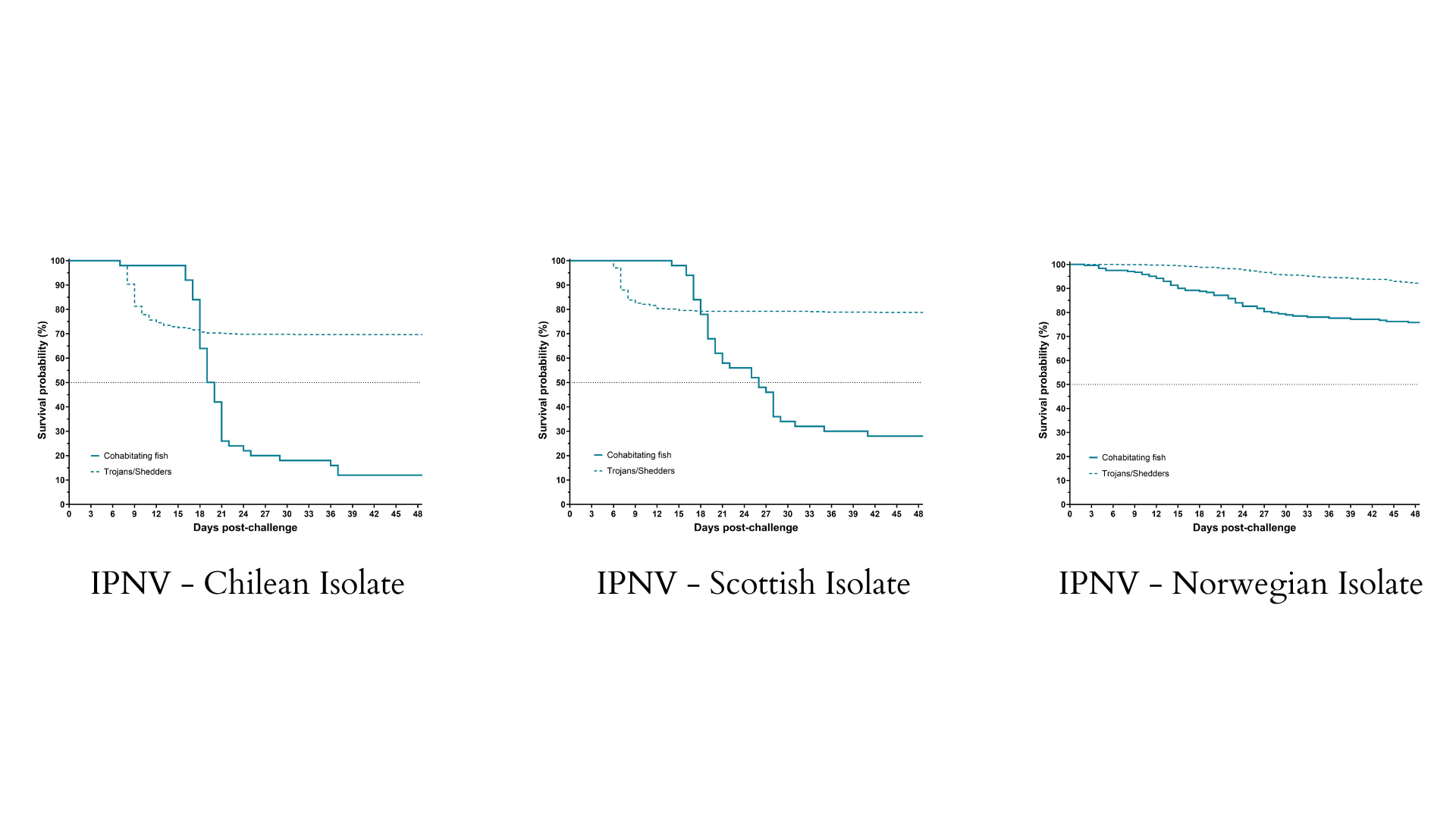 A Picture is Worth a Thousand Words: One Virus. Three Isolates. Three Very Different Outcomes.