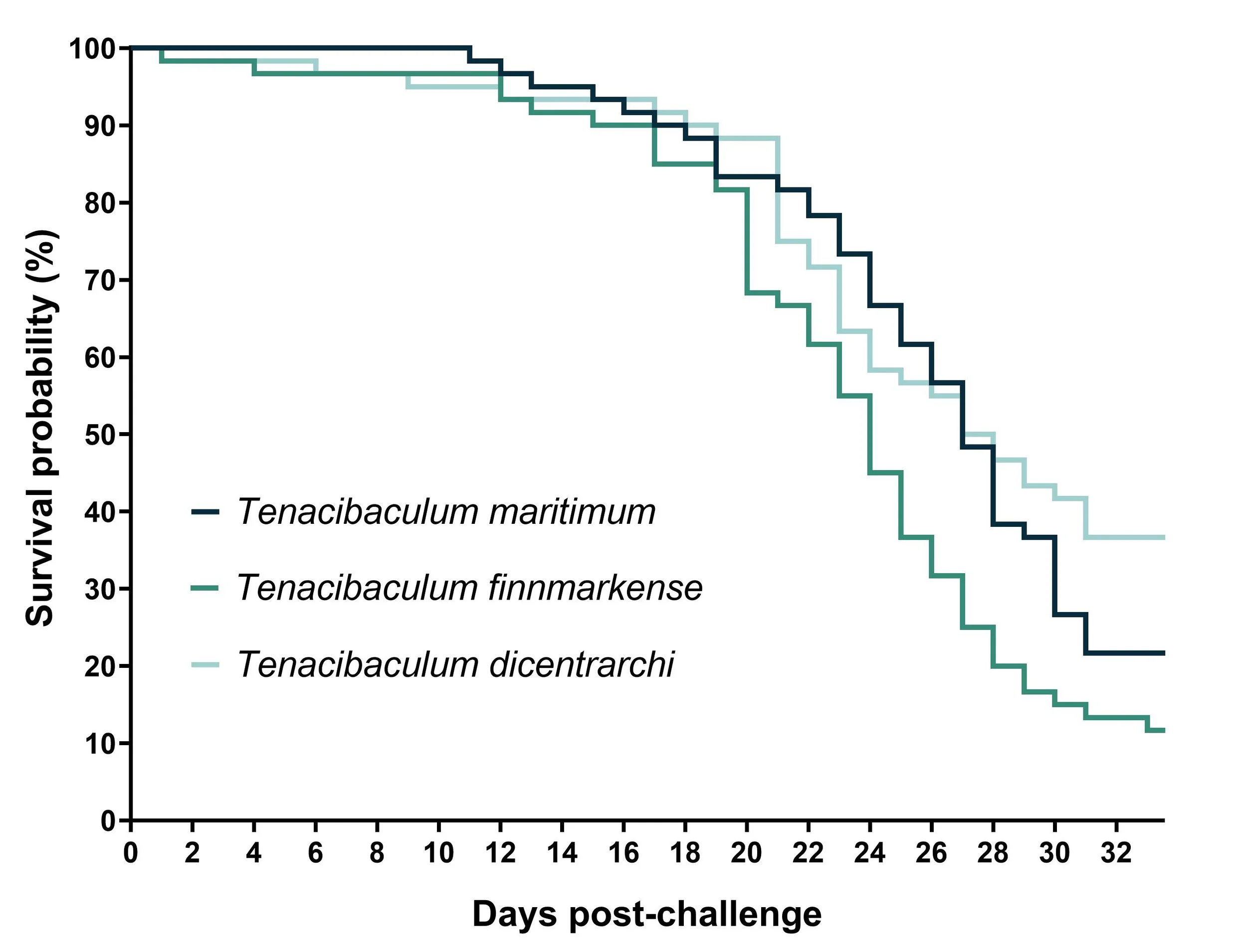 A Picture Is Worth a Thousand Words: What This Mortality Curve Tells Us About&nbsp;T. maritimum