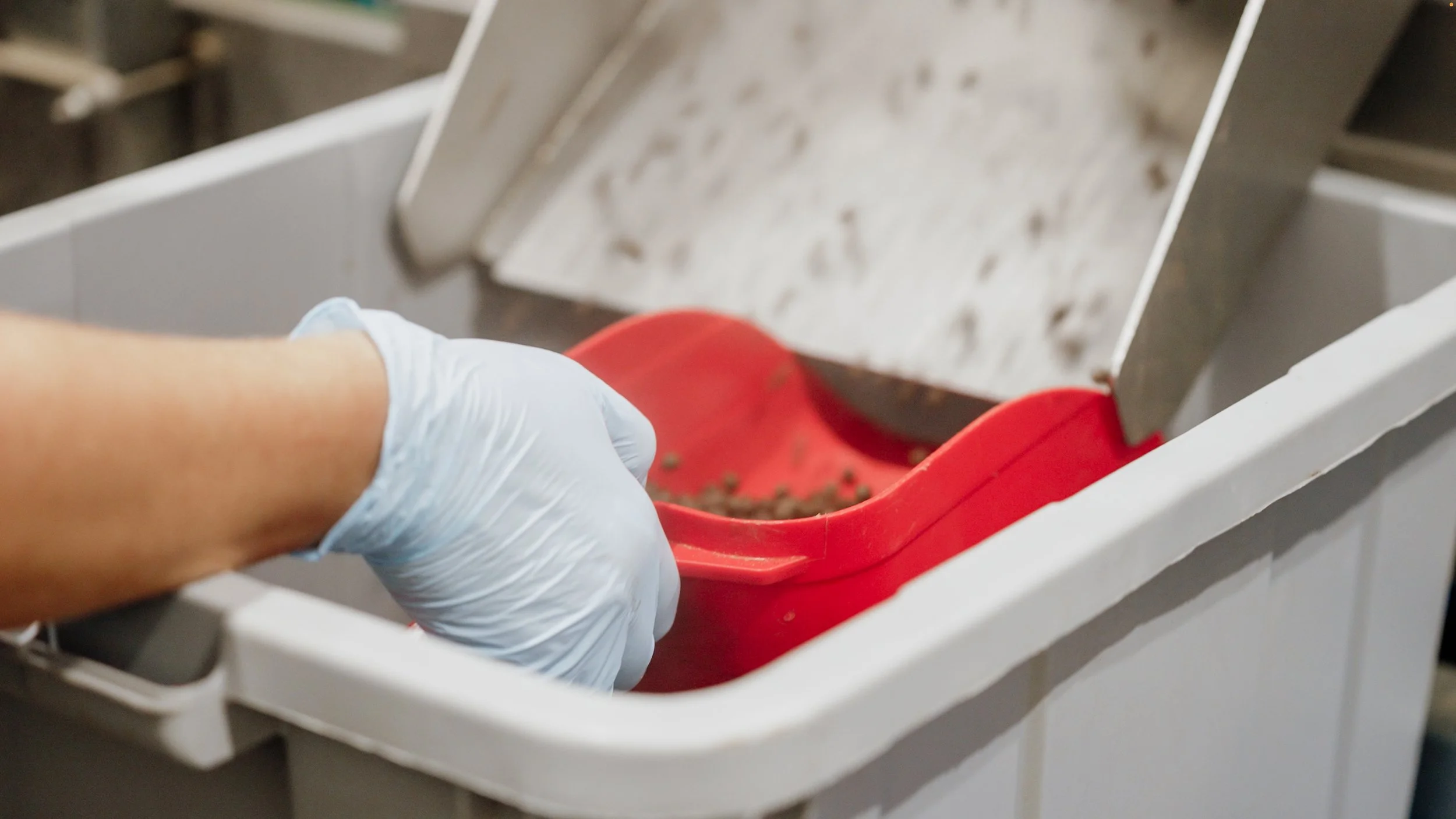 Sustainability in Aquafeeds: Beyond Ingredient Selection