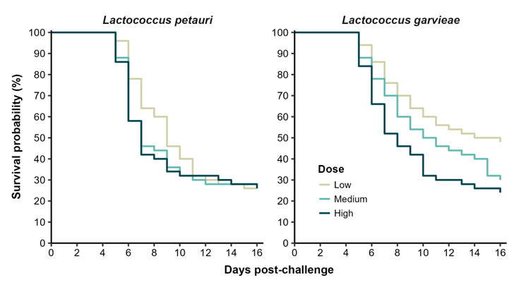 A Picture is Worth a Thousand Words: What Survival Curves Reveal About Real-World Product Performance