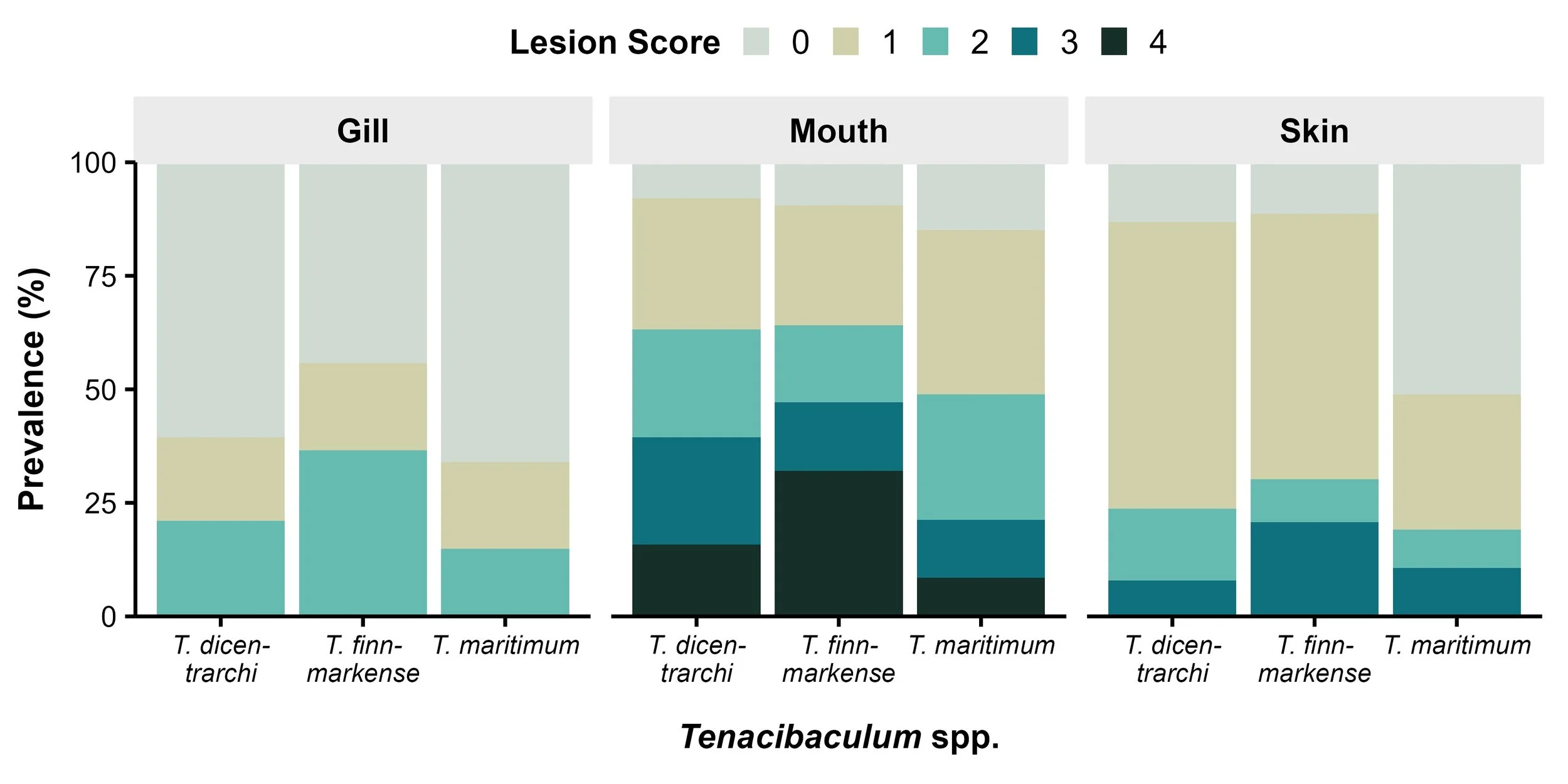 A Picture Worth a Thousand Words: What Lesion Scoring Tells Us About Fish Health, Research, and Better Decisions