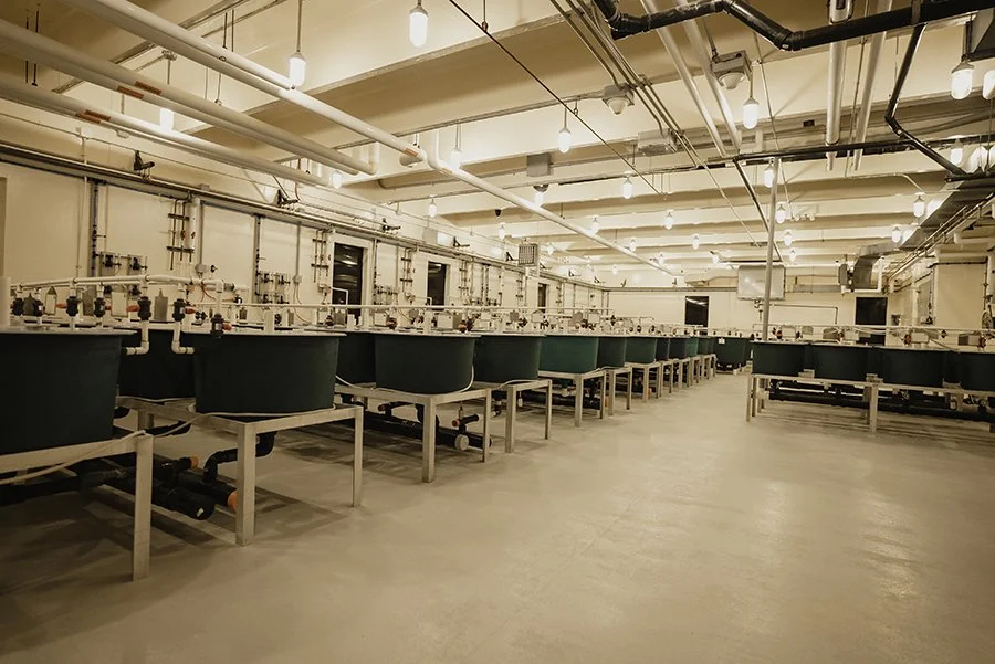 What Regulators Expect from CRO Data on the Path to Commercialization