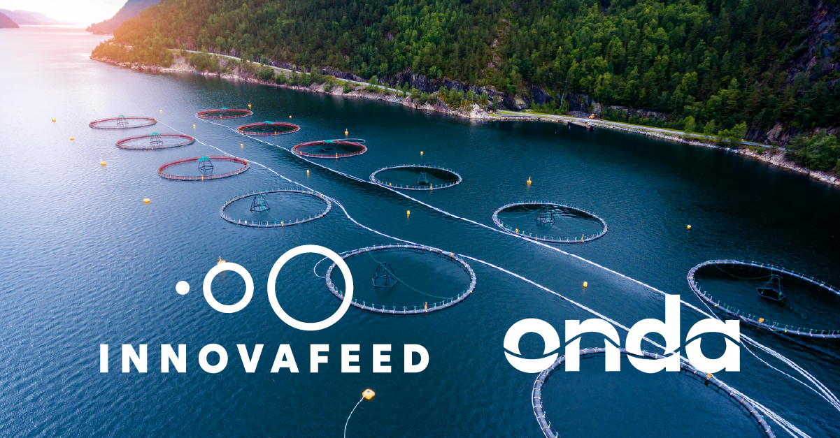 ONDA AND INNOVAFEED ANNOUNCE PROMISING RESULTS FROM TRIALS USING INSECT-BASED INGREDIENTS IN SALMON NUTRITION