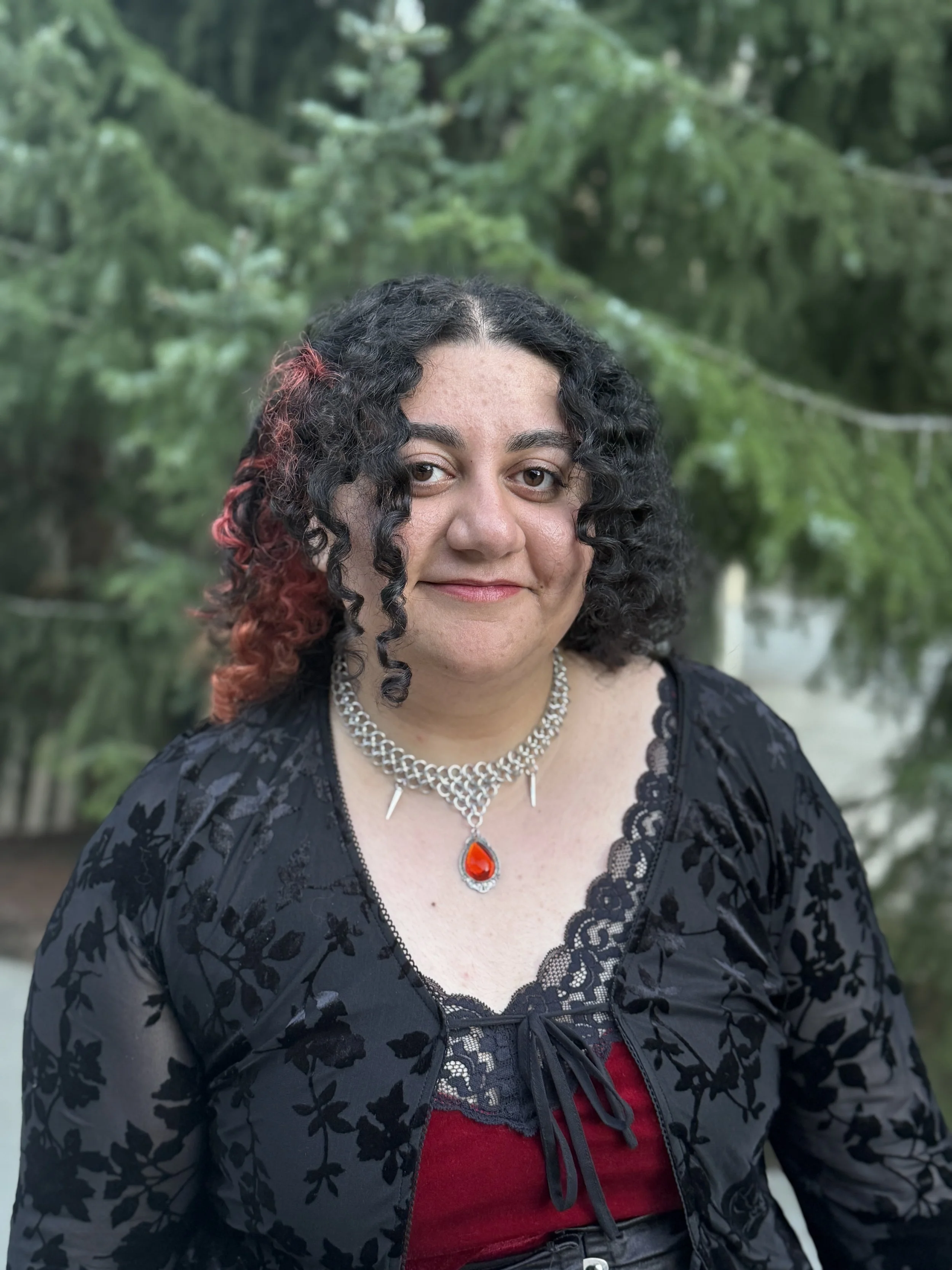 Parnian Rahmanfard