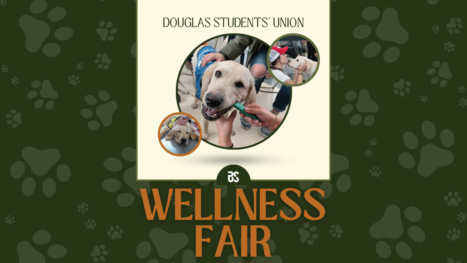 DSU Wellness Fair