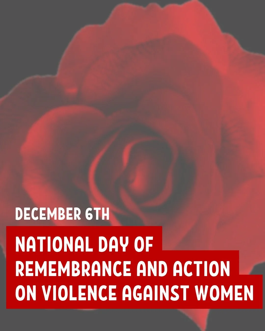 Today we honour and remember the 14 women who were murdered at the &Eacute;cole Polytechnique Montreal Massacre 36 years ago🌹💜

Since this attack, December 6th has been commemorated as the National Day of Remembrance and Action on Violence Against 