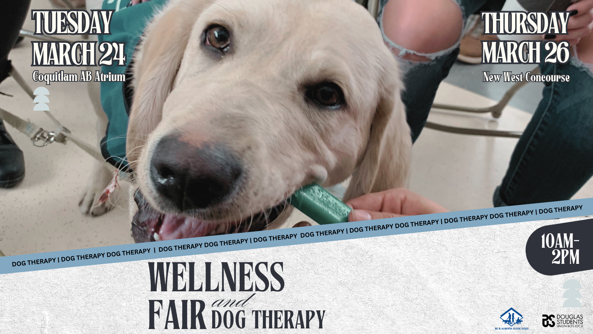 DSU Wellness Fair - NW