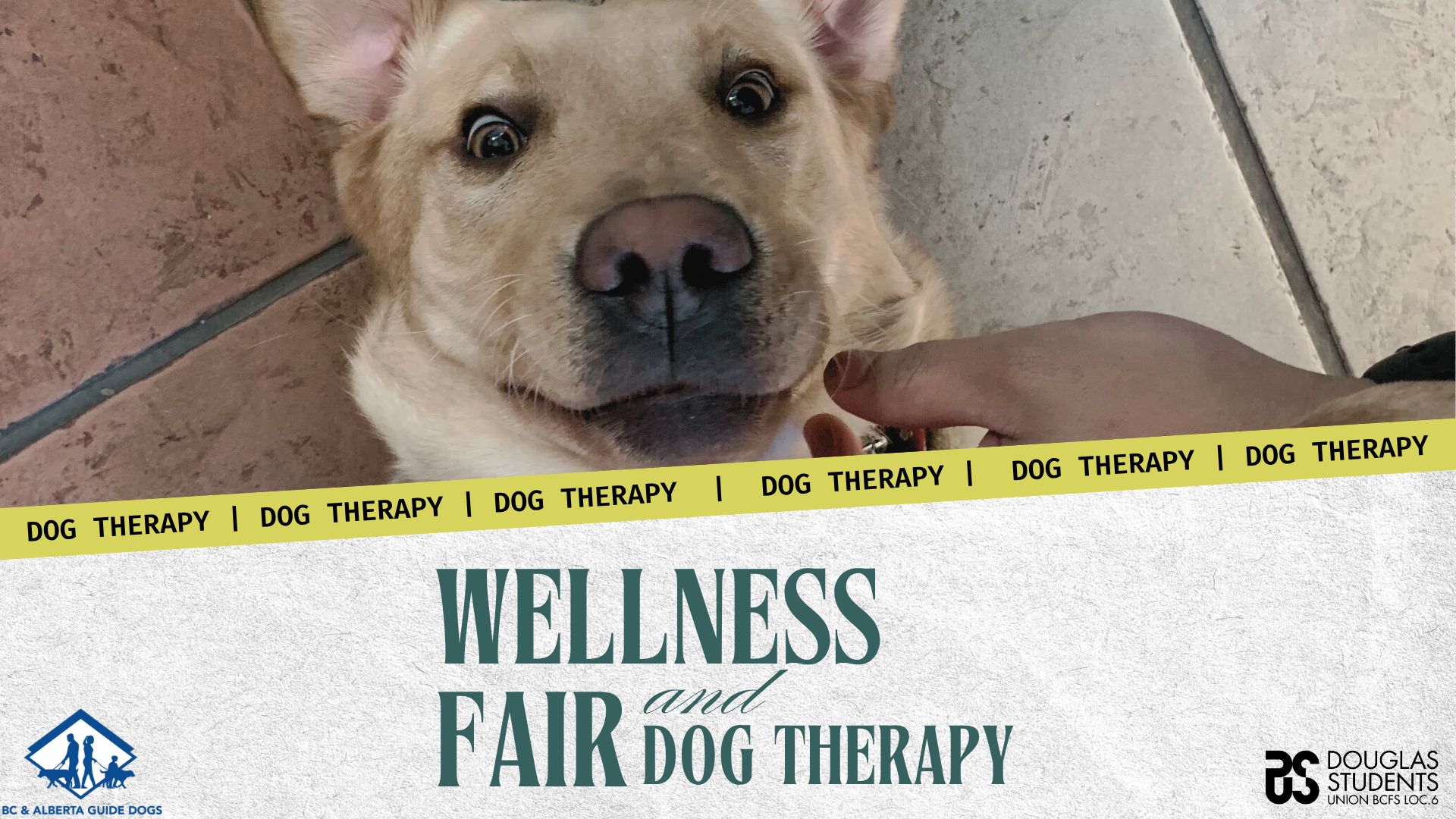 DSU Wellness Fair - Coq