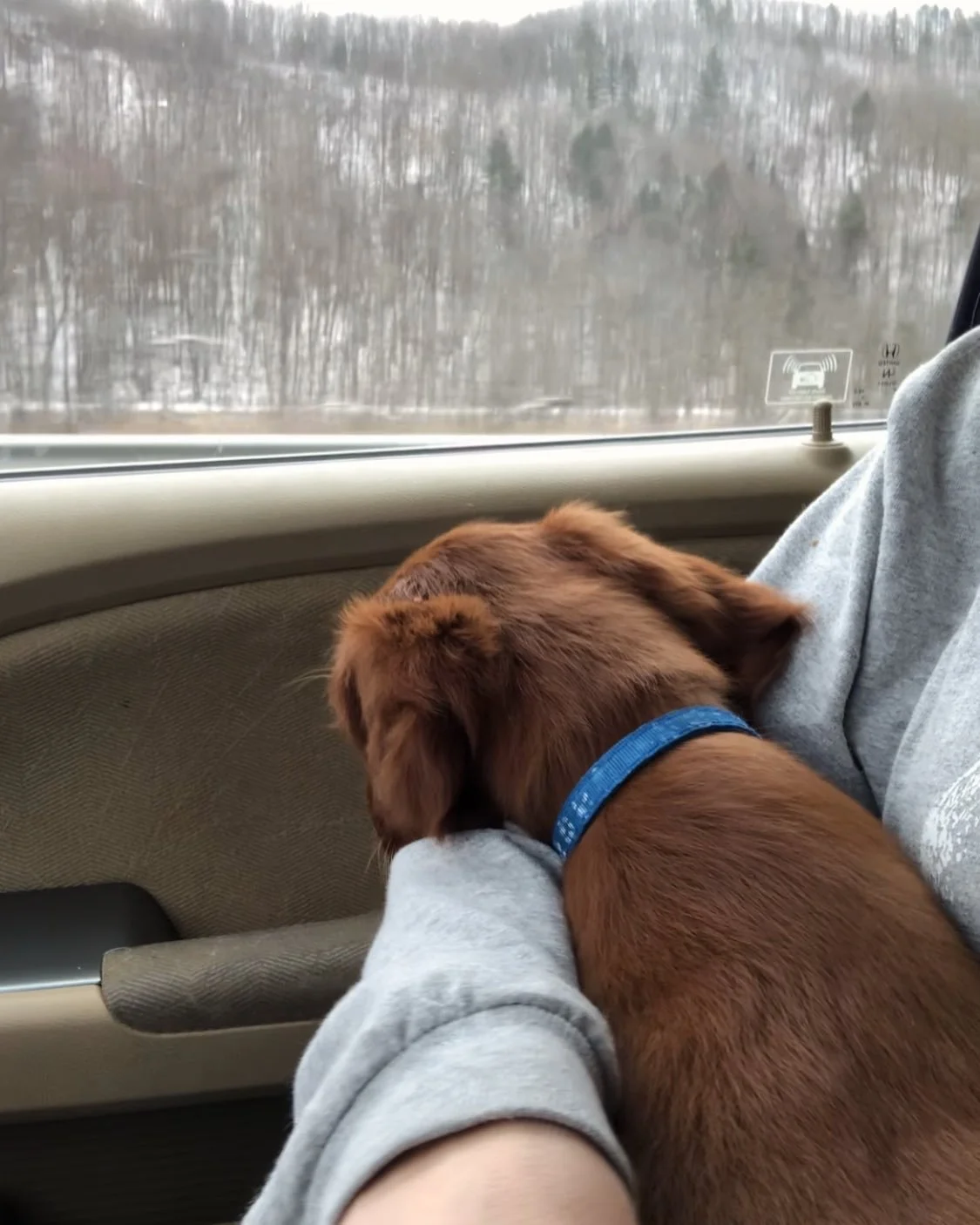 little glimmers of joy from every month of 2025 ✨

blown away by God&rsquo;s goodness / how quickly last year went &amp; how much was packed into 12 short months / all that is to come in this new year !!

1.1.26