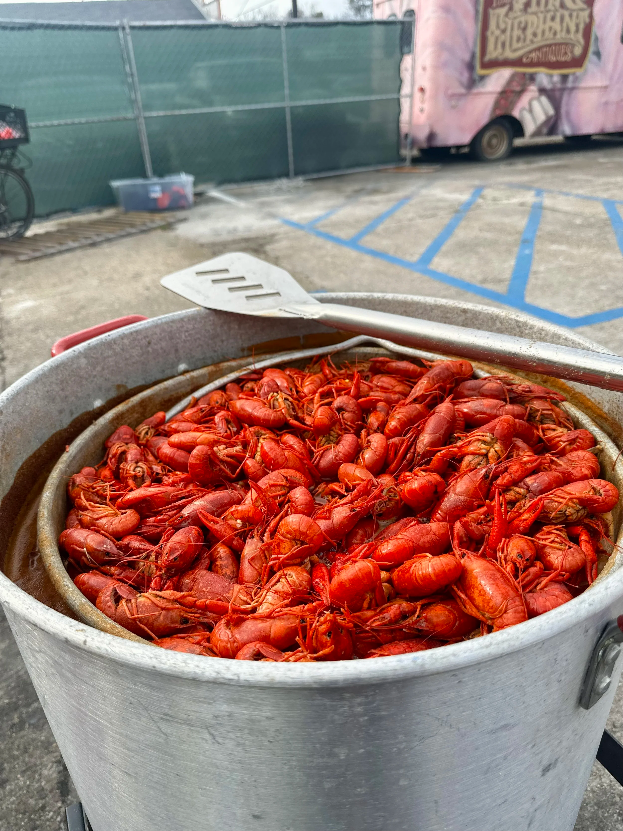 Crawfish 