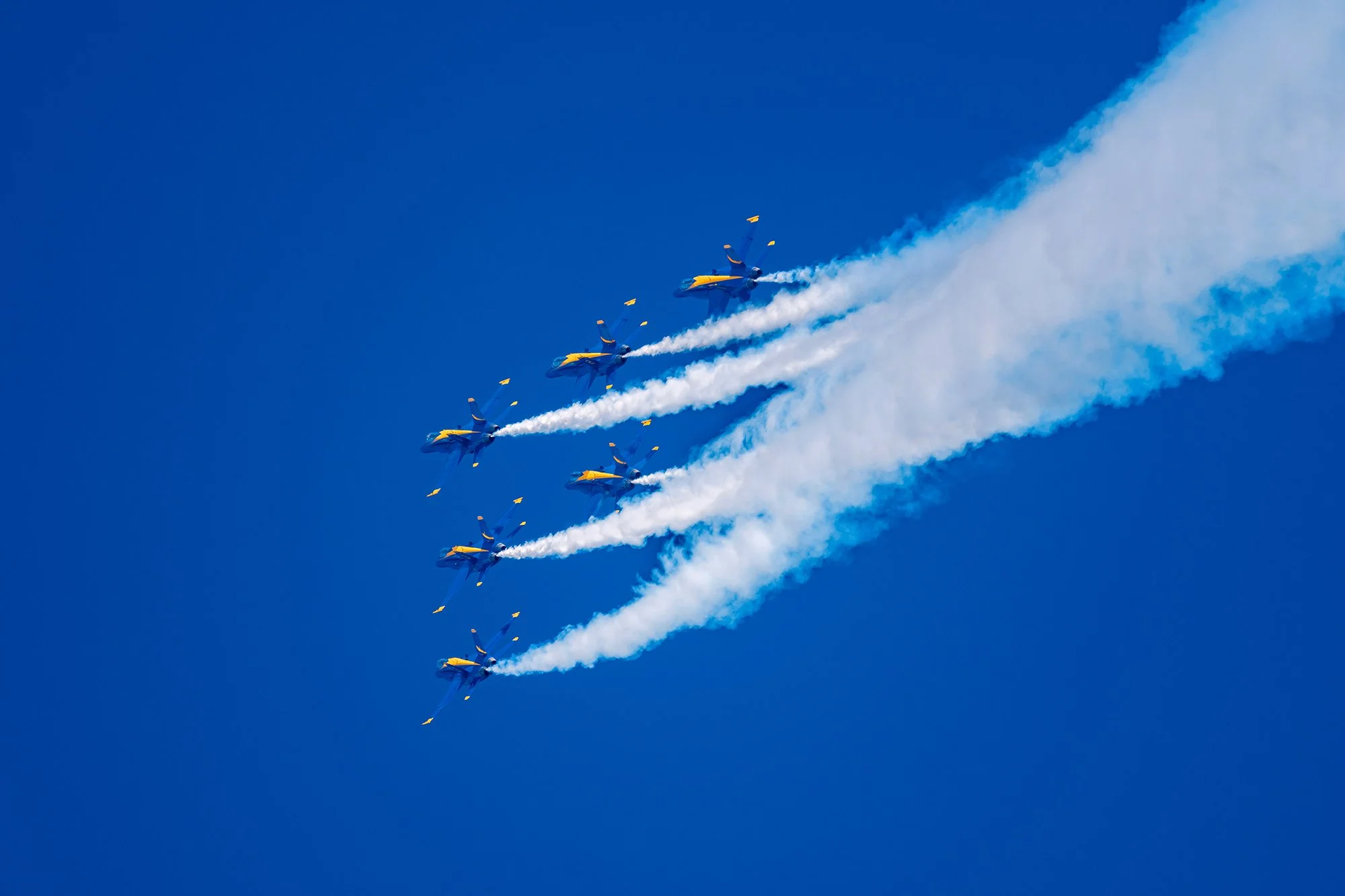 DSC_0831.jpg