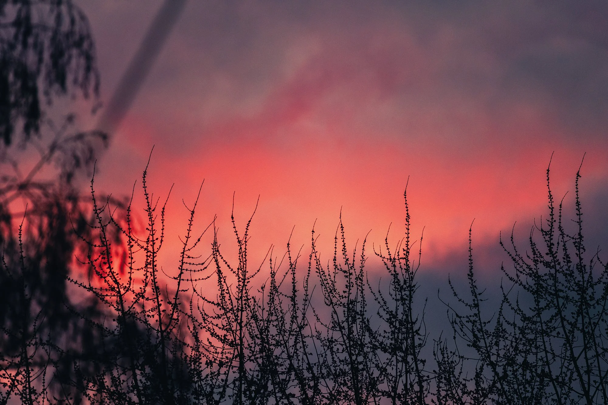 Sunsets of Fire - Eugene OR 2025