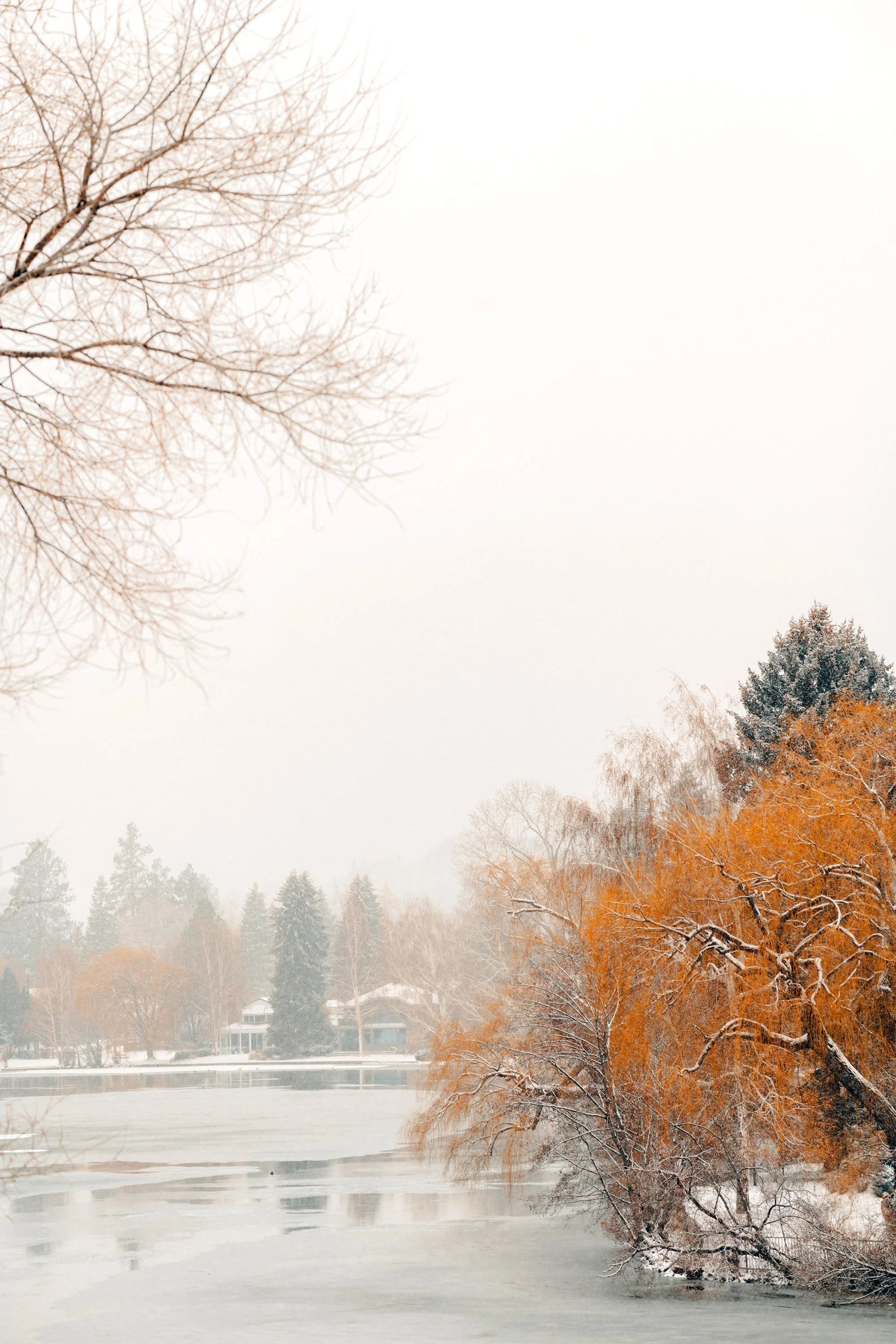 Orange Winter II  - Bend OR 2023