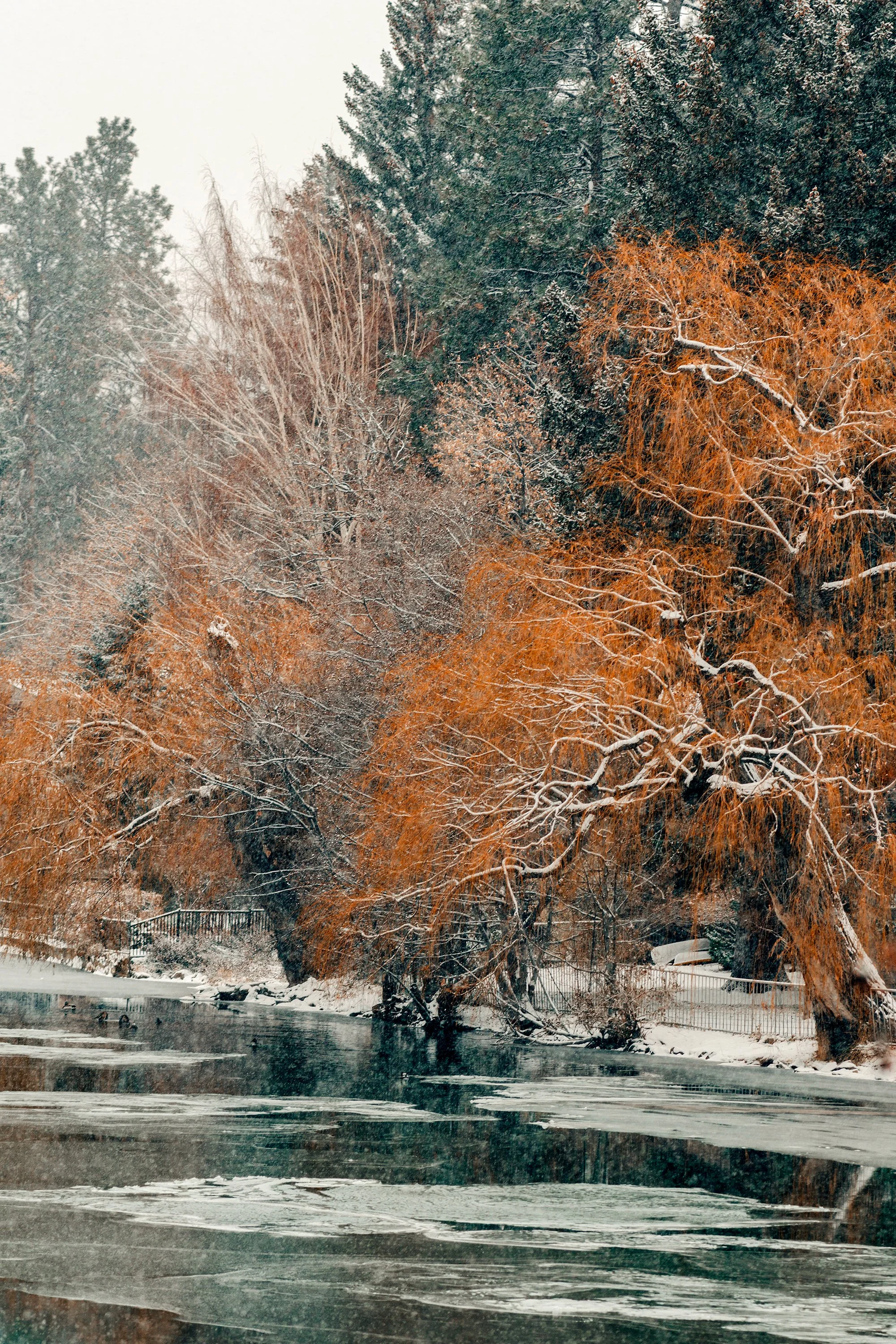 Orange Winter - Bend OR 2023