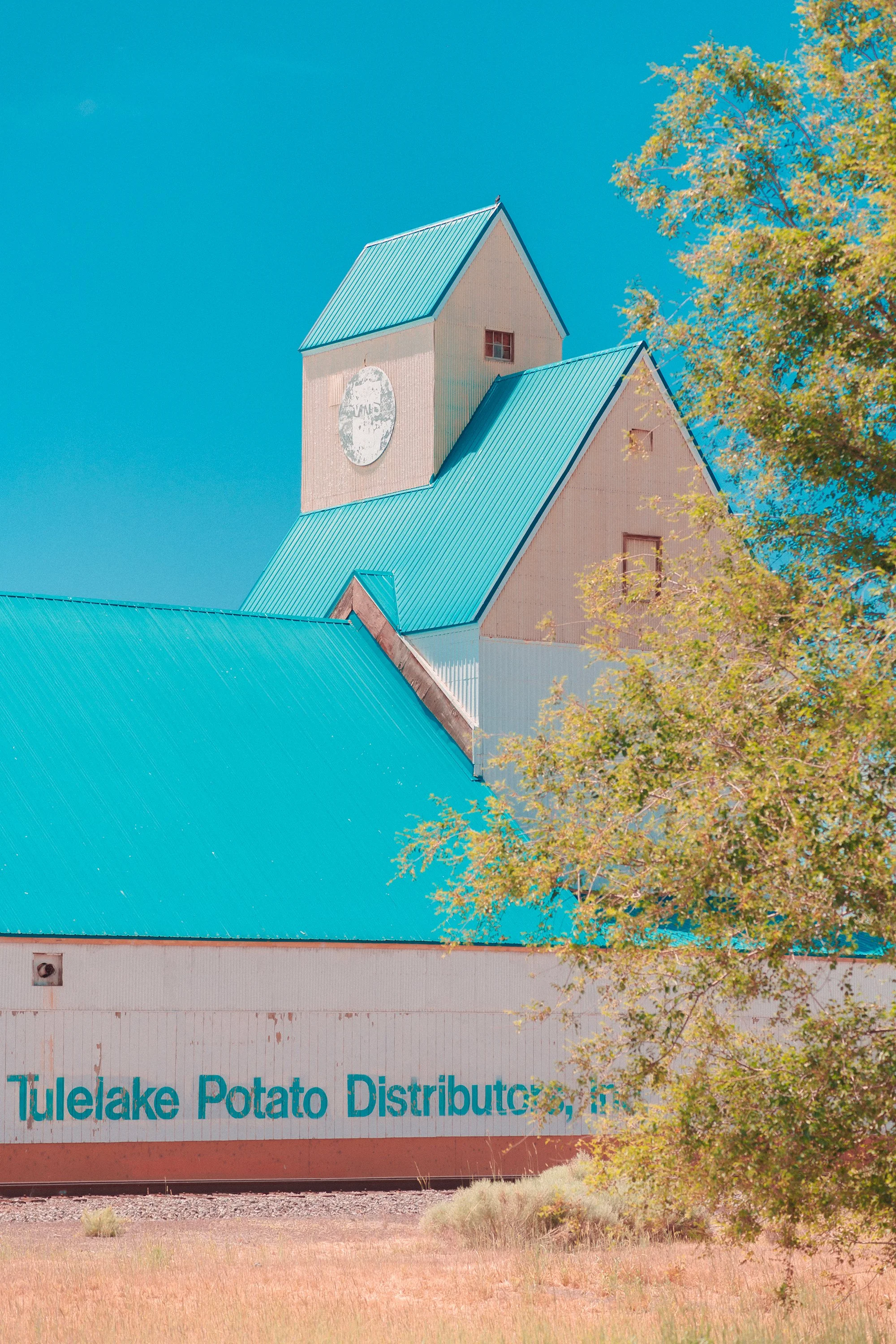 DSC_7687.jpg