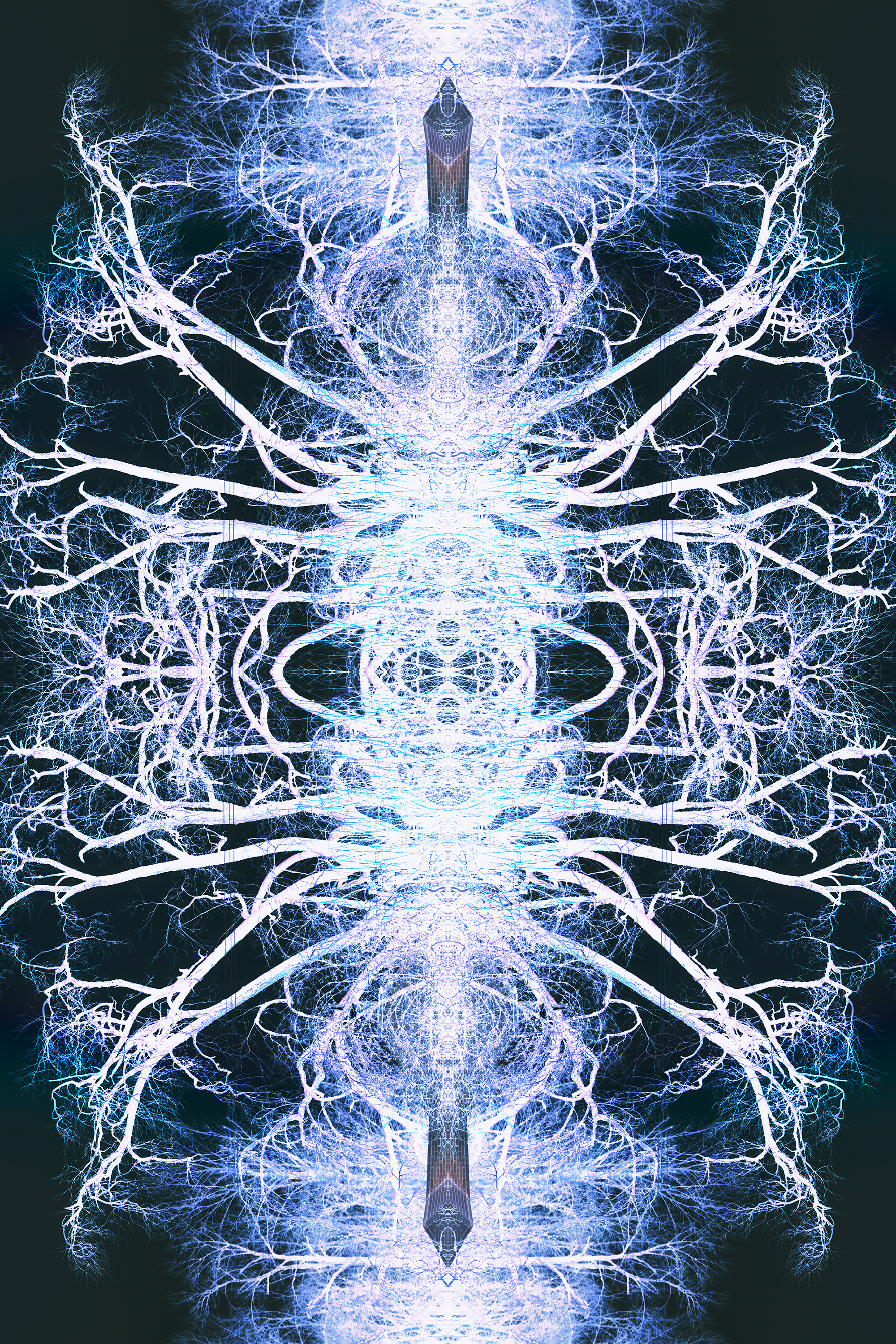 1_DSC_6992_5.png