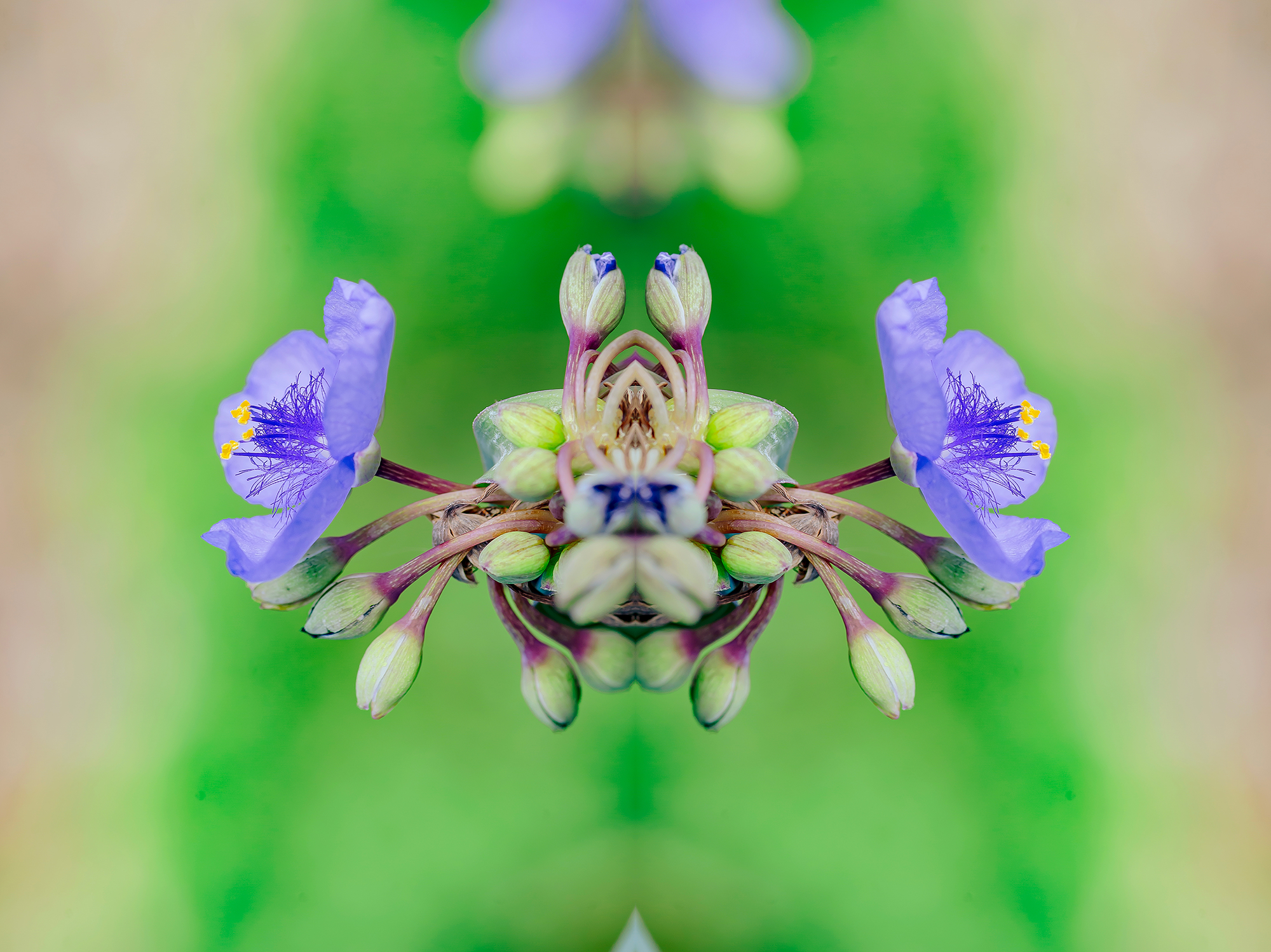 8_DSC_6284.png