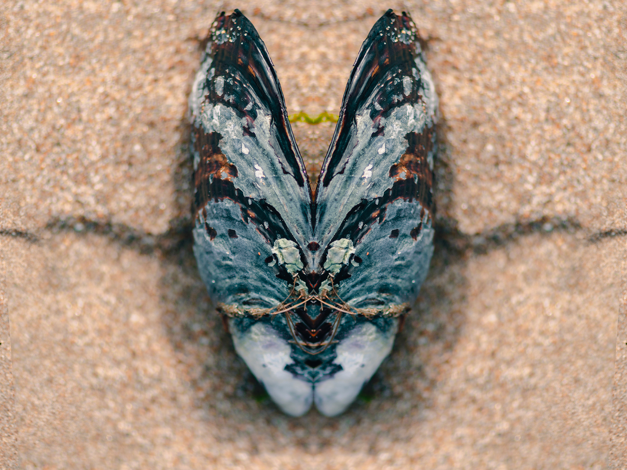 6_DSC_0618.png