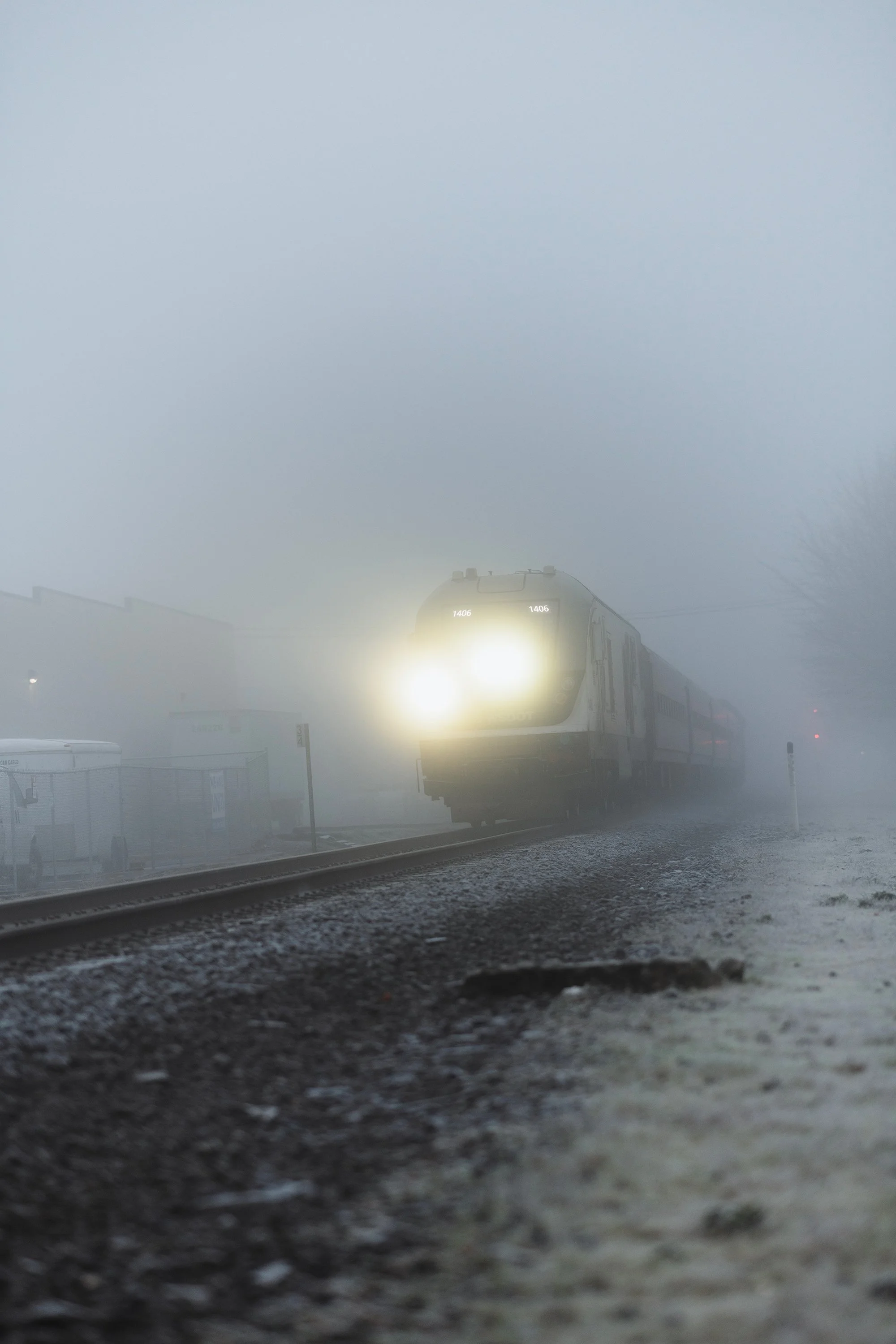 DSC_8246.jpg