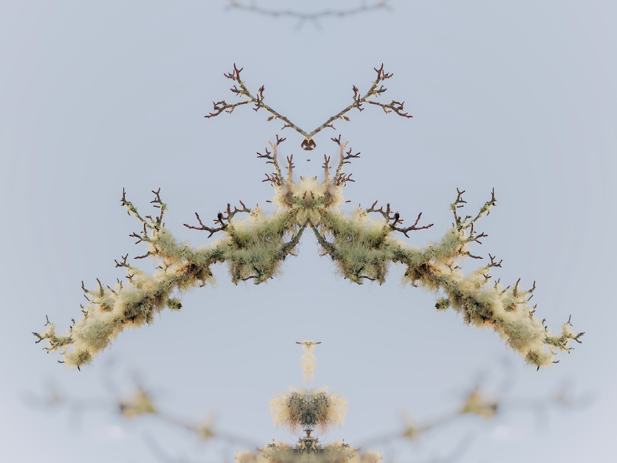 7_DSC_5484.png