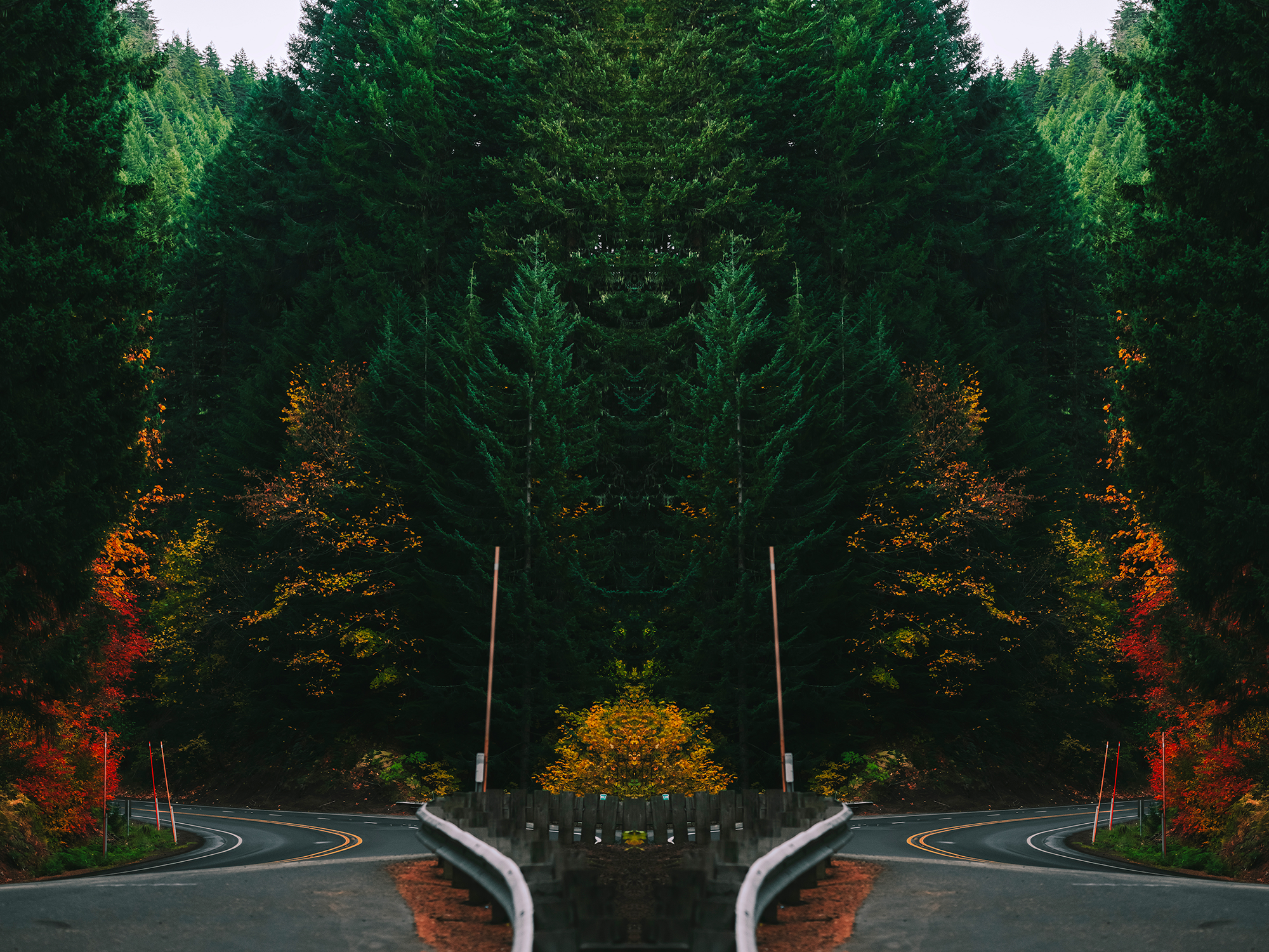 10_DSC_3235.png