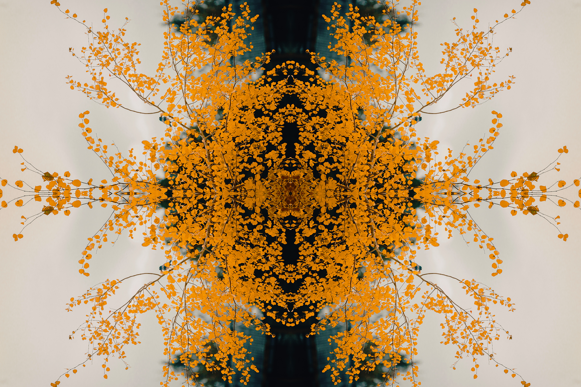 9_DSC_3625.png