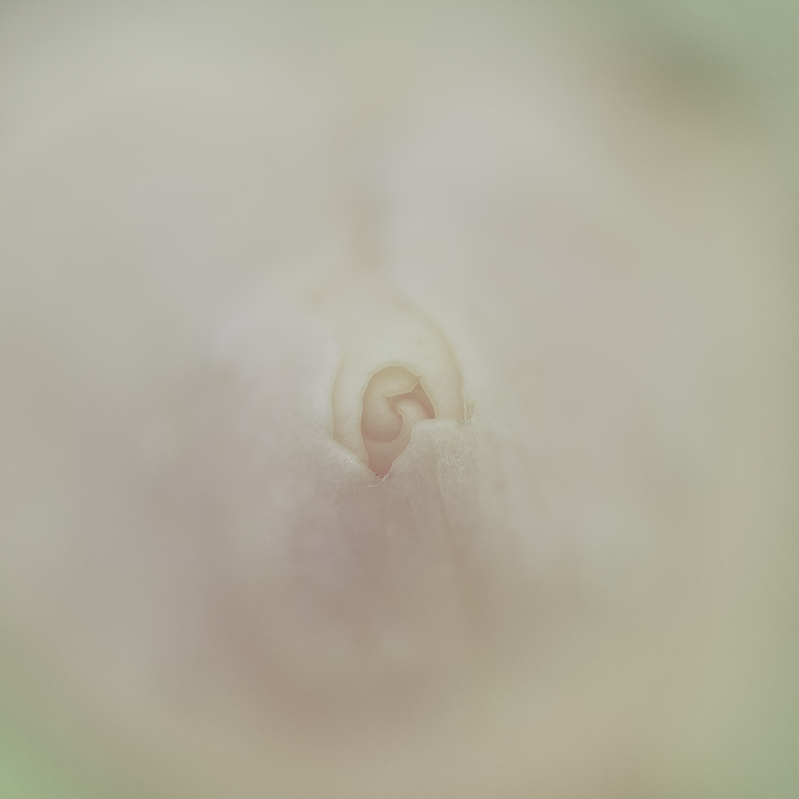 20231014_111745_IMG1125-insta-ready.png