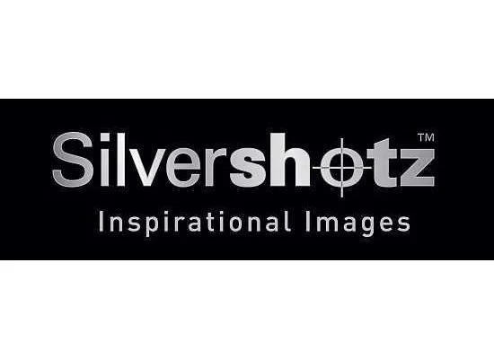 silvershotz-logo3.jpeg