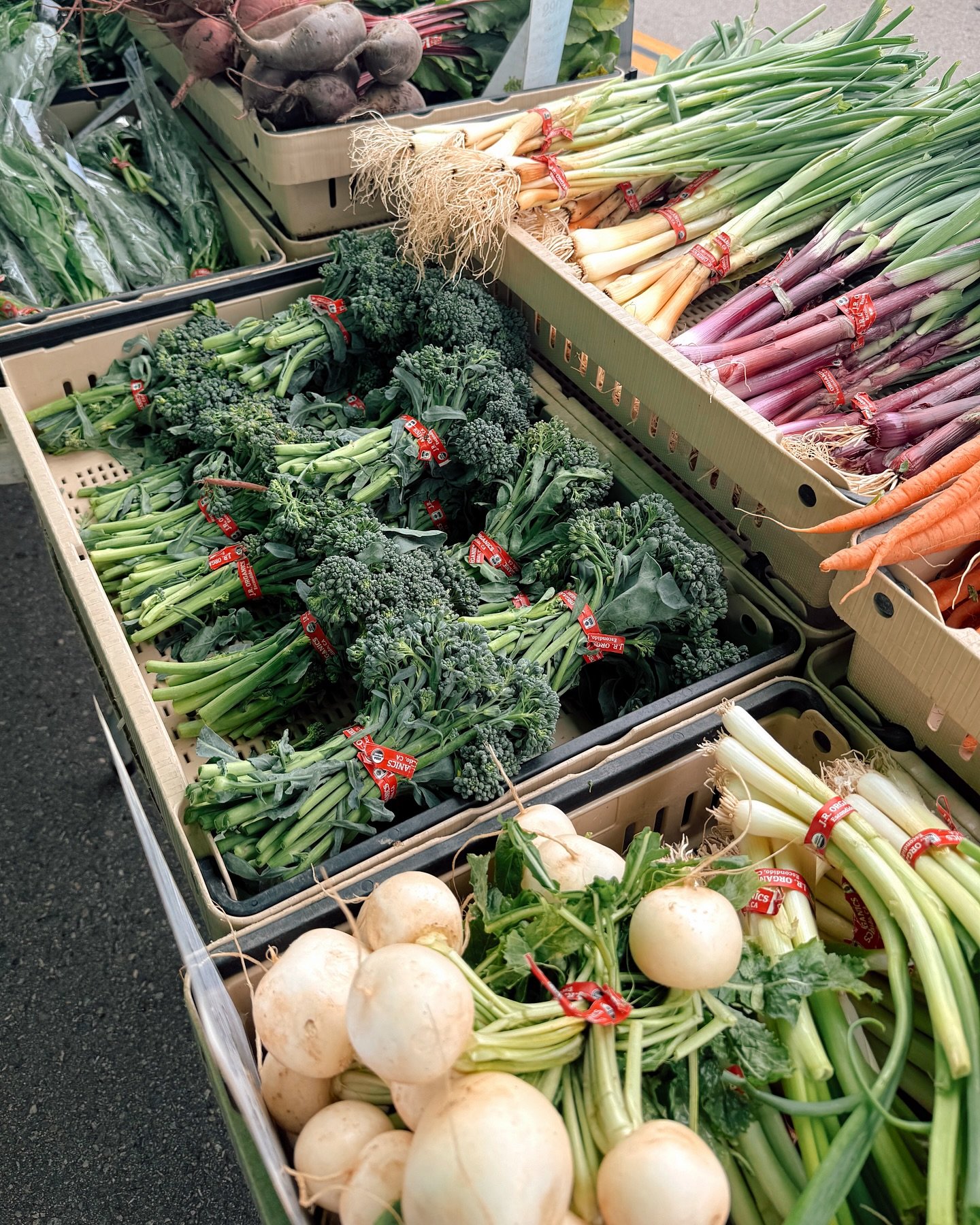 When the trip is all about the food 🍩☕️🌮🍻🍦🥪🌮🍕🥞🍳🥟🥧