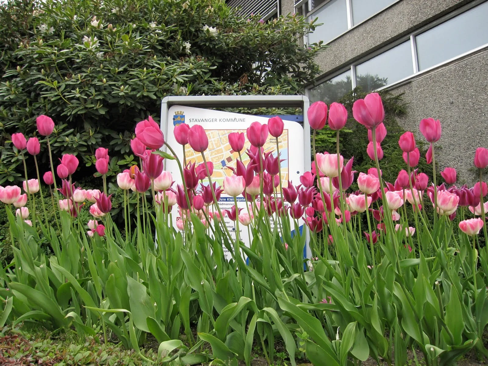 Stavanger er en nydelig by!