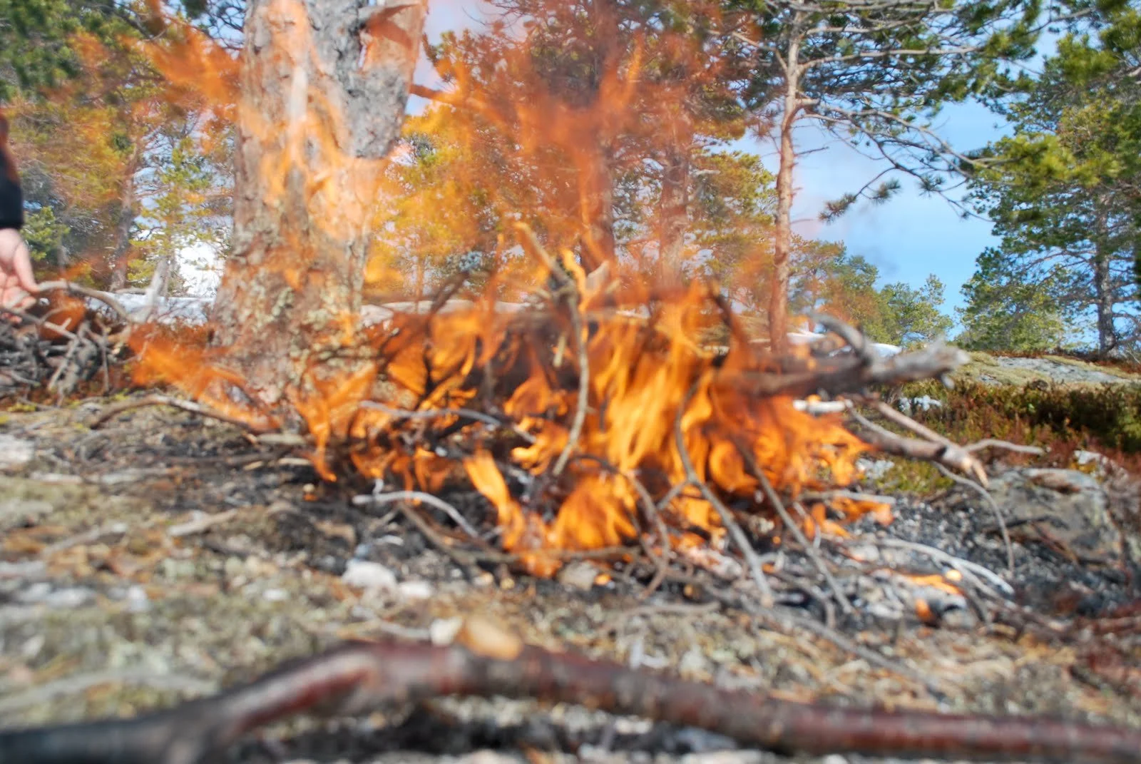 Påsken har en tid for alt.