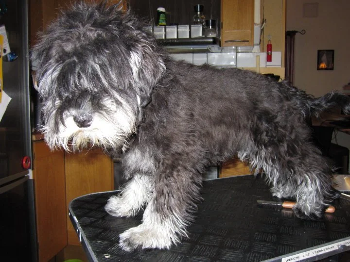 Total renovering, og vel så det.