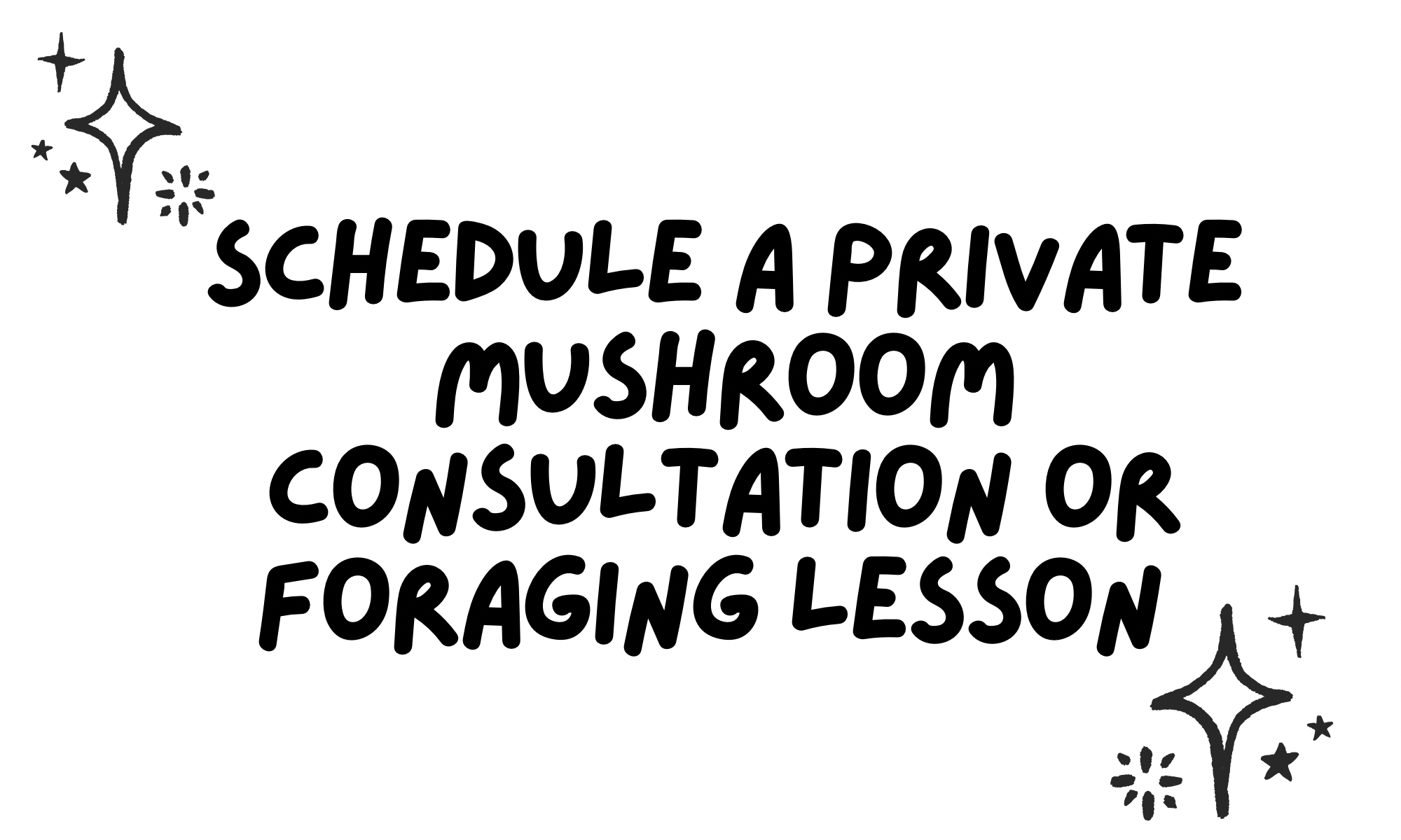 Text reading 'Schedule a private mushroom consultation or foraging lesson' with decorative stars and sparkles.