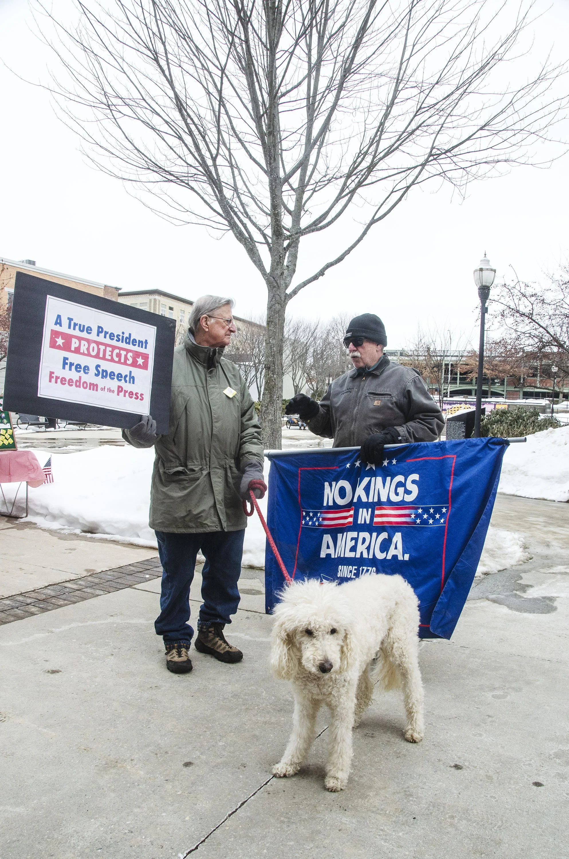 DSC_0219 copy.jpg Protect.jpg