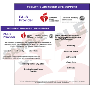 BLS ACLSセット ACLS / PALS Heartcode 