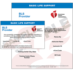 CPR Training payment