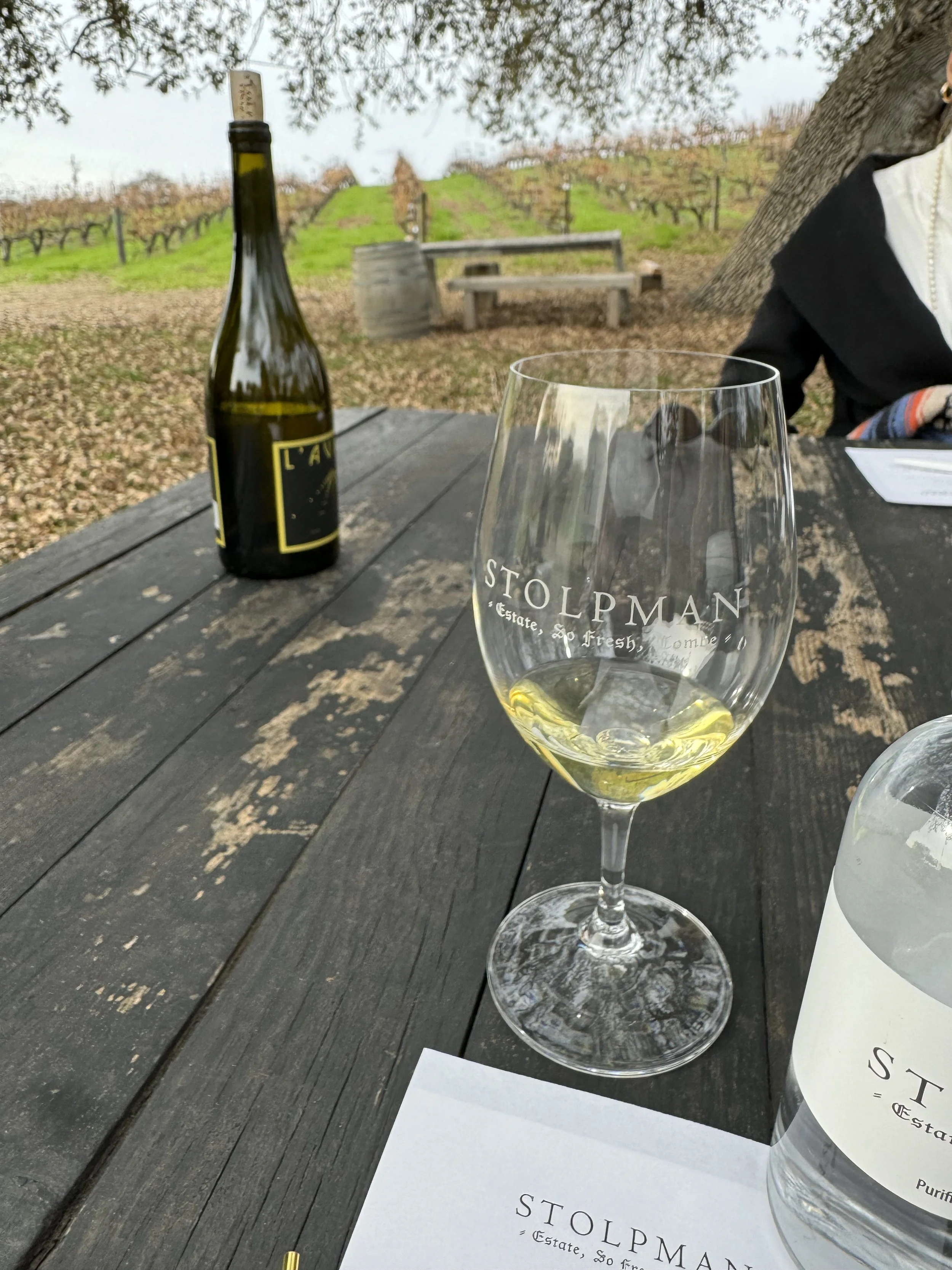 Wine Tasting for Girls Trip!