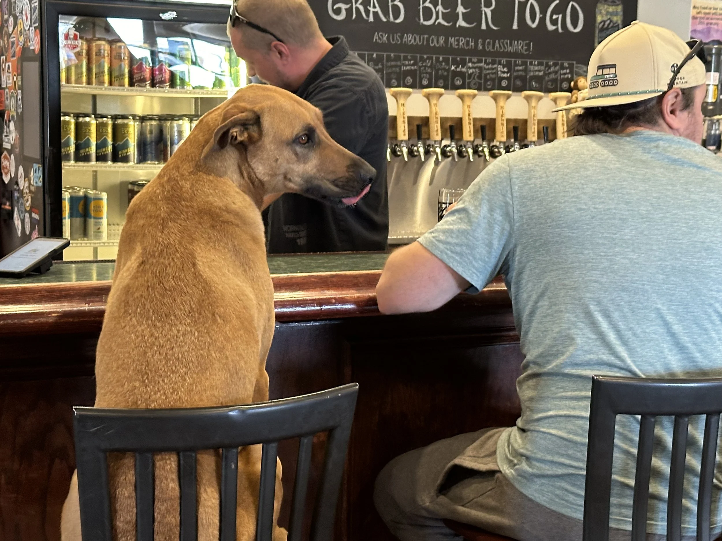 Be a curious Traveler