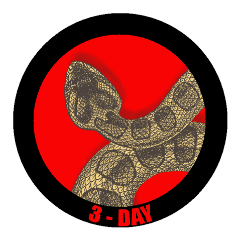 Adult Non-Camping 3-Day Pass