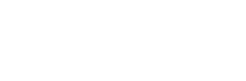 Virtus Minerals